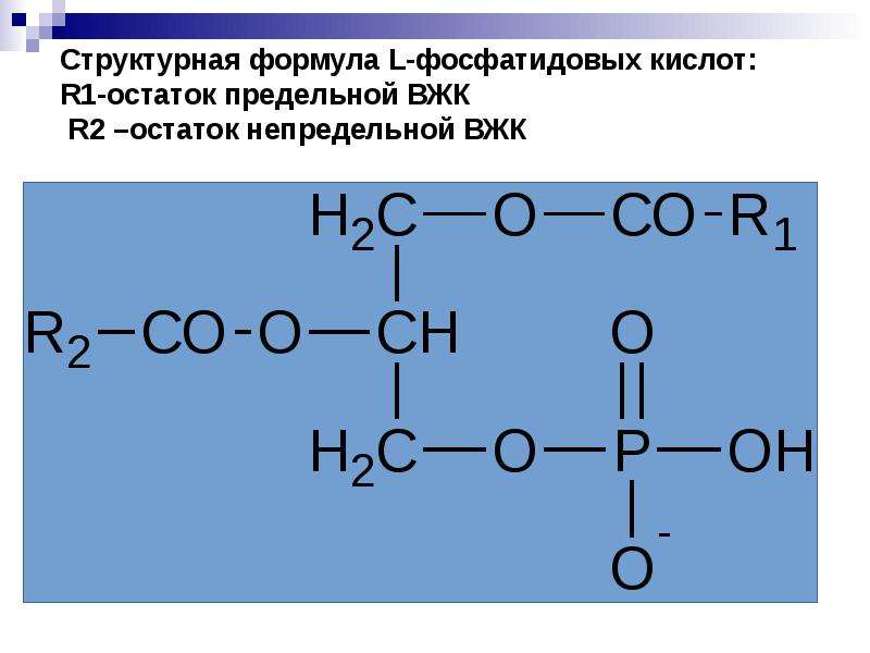 Кислота имеет общую формулу. Структурная формула фосфатидной кислоты. Общая структурная формула фосфатидной кислоты. Формула фосфатидной кислоты. Формула фосфатидовой кислоты.