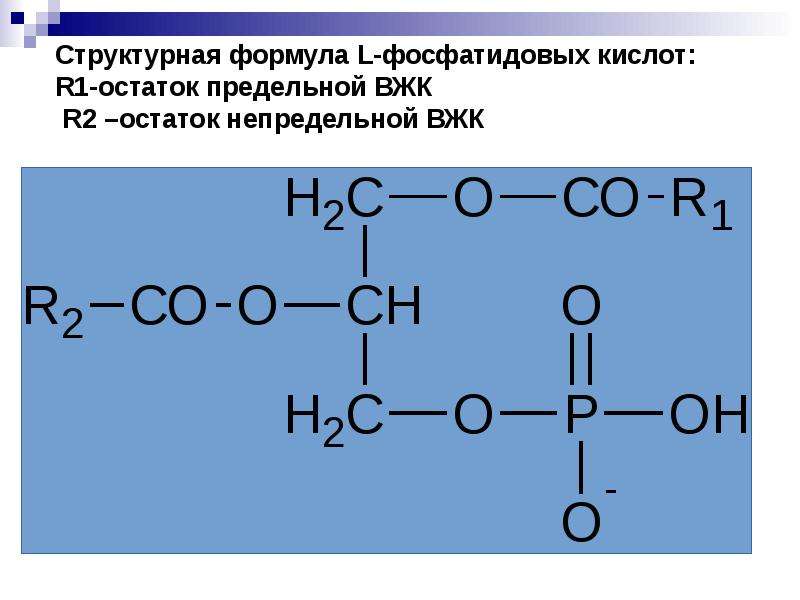 Напишите структурные формулы кислот. Структурная формула фосфатидной кислоты. Формула l-фосфатидовой кислоты. Фосфатидная кислота формула структурная. Формула фосфатидной кислоты.