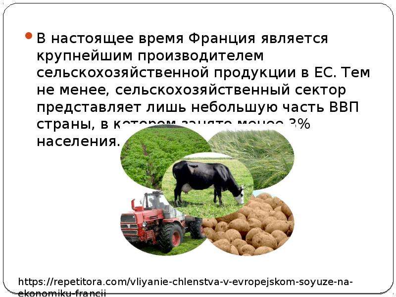 Определение сельскохозяйственная продукция