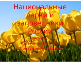seytumerova_zarema_i_kuzmina_viktoriya (1)