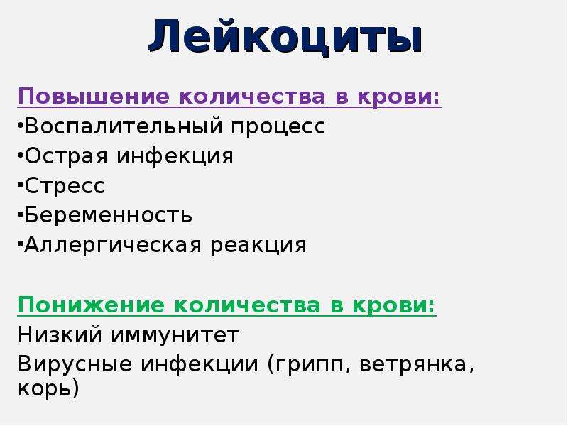 Высокие лейкоциты