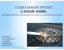 Социальный проект «Сизый змий» (профилактика табакокурения среди несовершеннолетних)