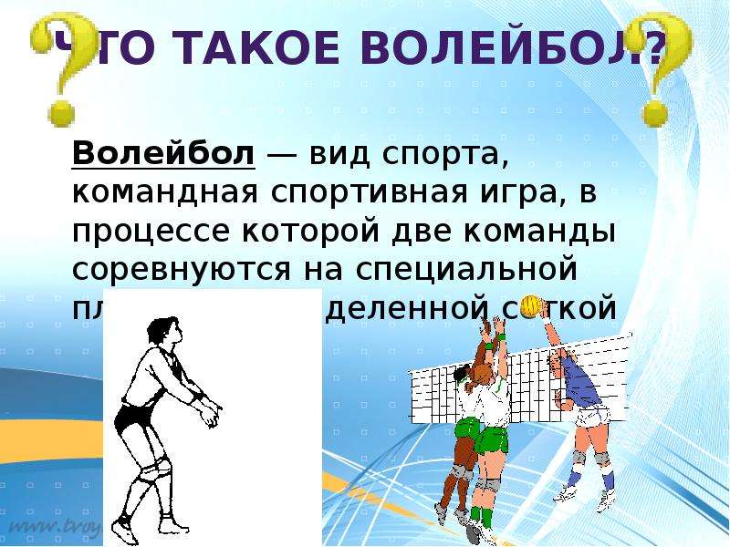 Волейбол виды. Волейбол вид спорта. Волейбол вид сзади. Волейболист вид сзади. Волейболистки вид сзади.