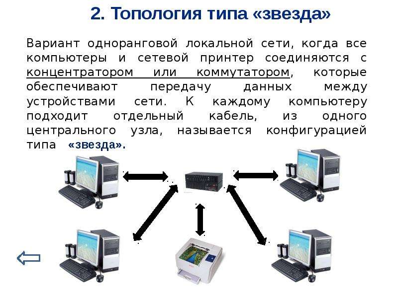 Когда в сети