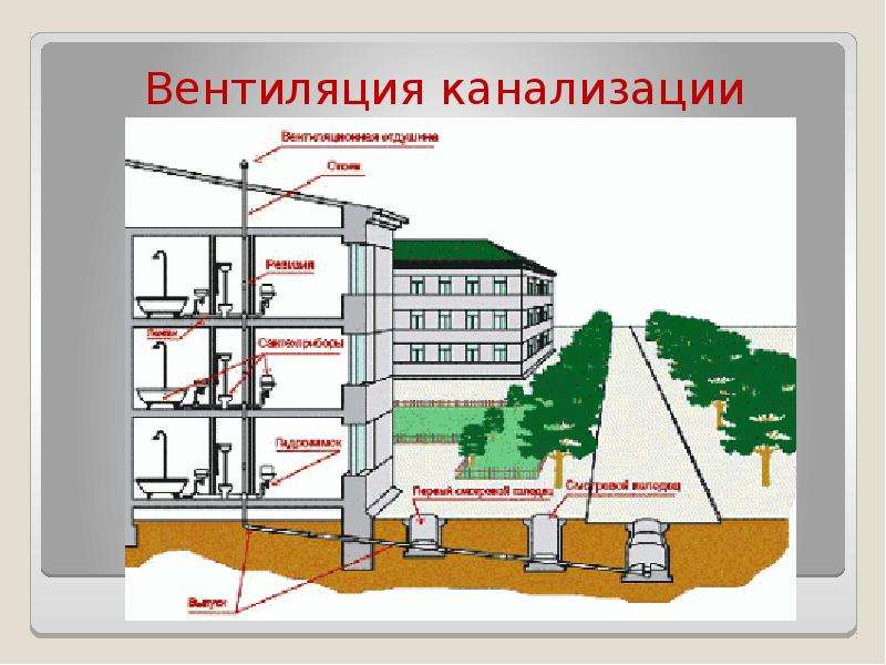 Самотечные канализационные сети. Схема системы водоотведения многоквартирного дома. Схема канализации здания. Схема канализации в многоквартирном доме. Схема устройства внутренней канализации здания.