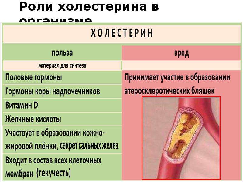 Биологическая роль серы. Роль холестерина в воспалении. Биологическая роль пилей прикрепление. Опишите биологическую роль каждой структуры. Биологическая роль холестерина тест с ответами.