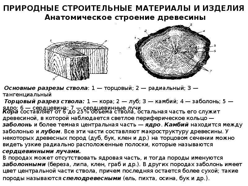 Естественно структура. Строение и состав древесины в строительстве. Природное строение материалов. Структура натуральных материалов. Природные строительные материалы примеры.