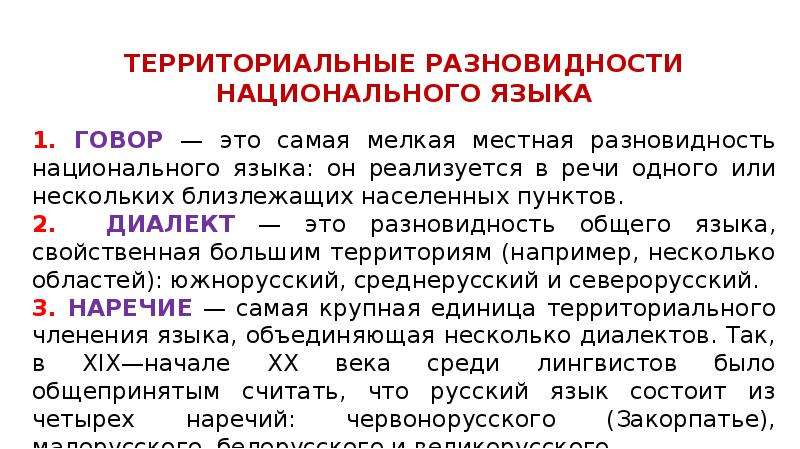 Национальный язык доклад