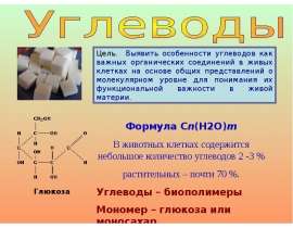 Грибы углеводы. Особенности строения биополимеров углеводов. Как обозначается углевод. Резервный углевод у грибов. Грибы это жиры или углеводы.