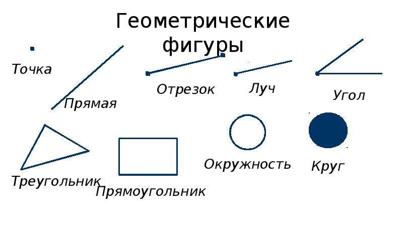 Точка луч отрезок