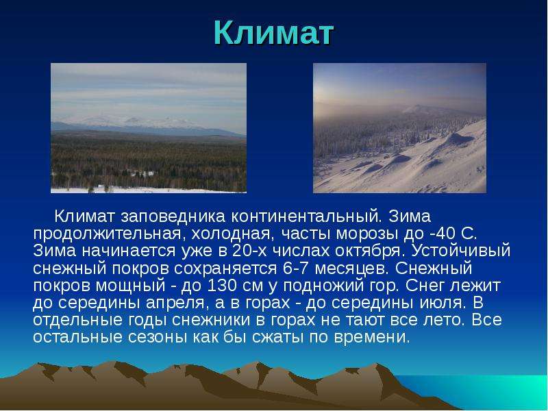 В тайге продолжительная холодная зима. Заповедник Денежкин камень климат. Заповедники Свердловской области Денежкин камень сообщение. Денежкин камень заповедник презентация. Заповедники Урала Денежкин камень.