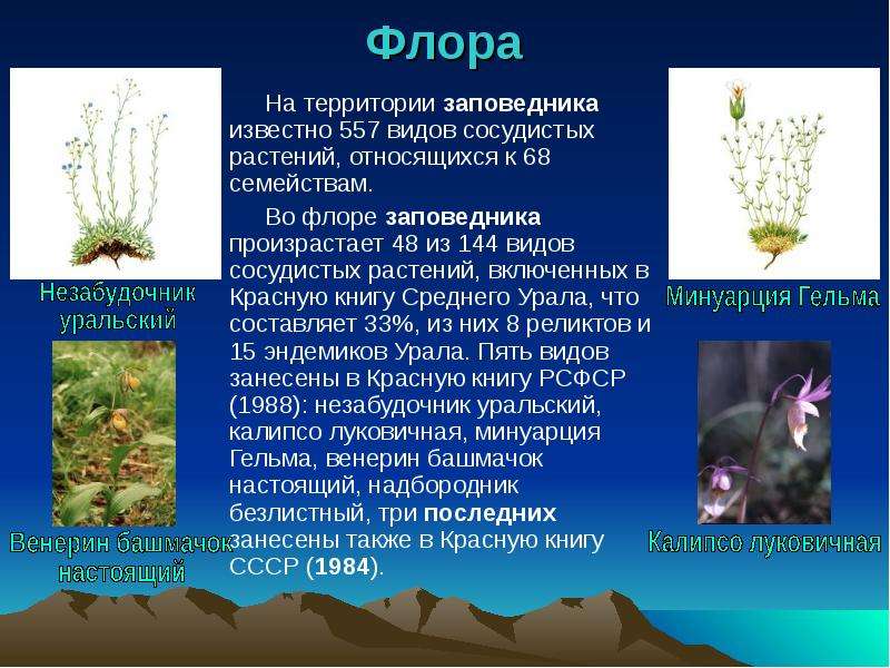 Заповедник денежкин камень презентация