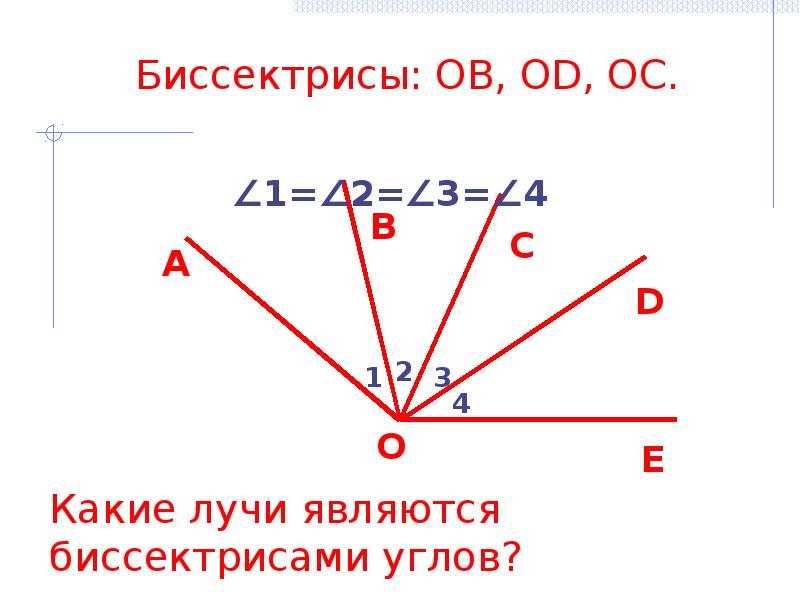 Чем являются лучи угла