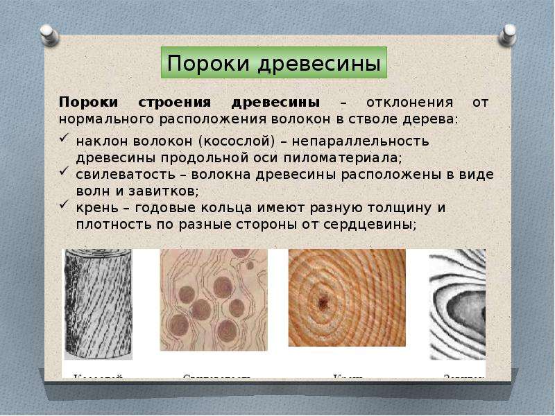 Образовавшейся древесины. Пороки строения древесины. Строение волокон древесины. Волокнистая структура древесины. Волокна древесины ткань.