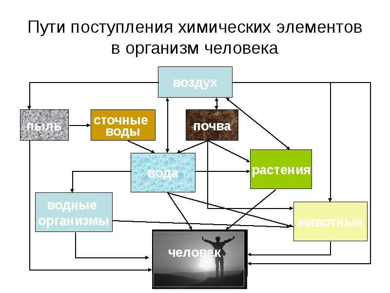 Путь поступления