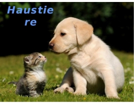 Haustiere