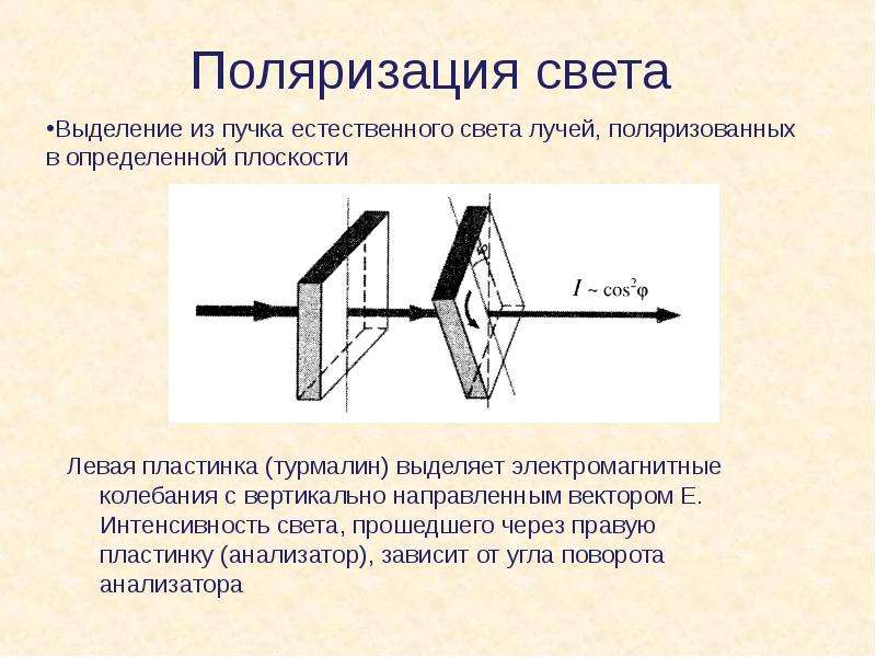 Поляризация лучей. Поляризация света поляризаторы. Поляризация света физика. Интенсивность поляризованного света прошедшего через анализатор. Явление поляризации.