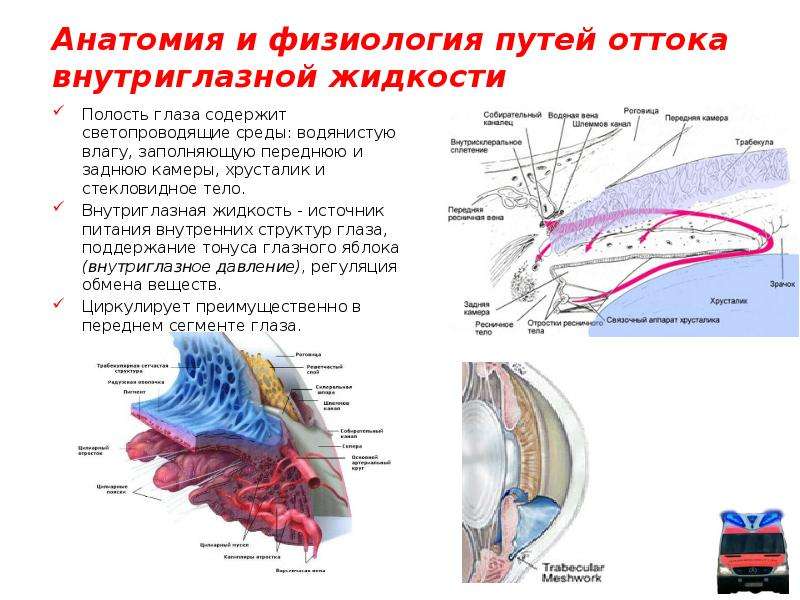 Схема оттока внутриглазной жидкости