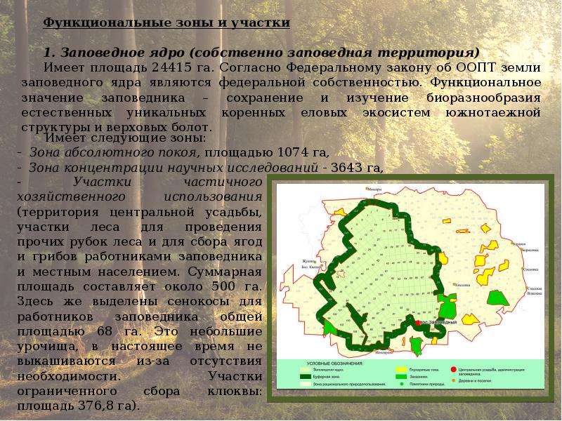 Территория имеющая. Зоны заповедника. Зоны заповедника ядро. Функциональные зоны заповедника. Ядро заповедника это.