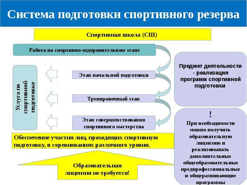 Техническое действие в спорте. Подготовка спортивного резерва. Структура спортивной подготовки. Этапы спортивной подготовки. Уровни подготовки в спорте.