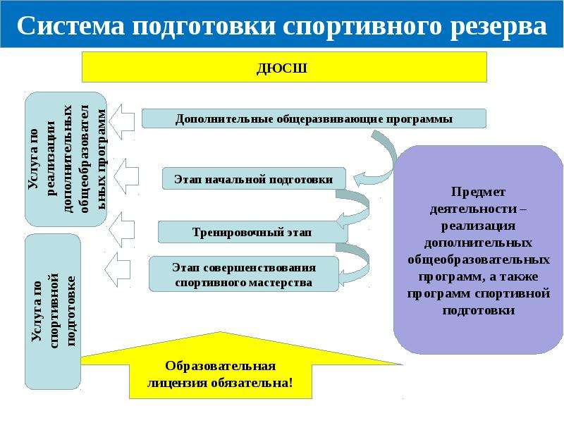 Дополнительная спортивная программа. Структура системы спортивной подготовки. Структура подготовки спортивного резерва. Уровень спортивной подготовки. Совершенствование системы подготовки спортивного резерва.