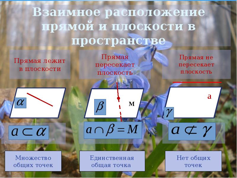 Расположение прямых и плоскостей в пространстве