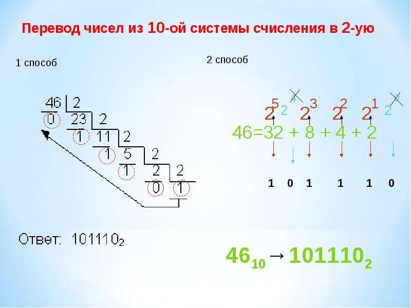 Система целых чисел. Перевод не целых чисел в разные системы счисления. 3 Дерево целых чисел.