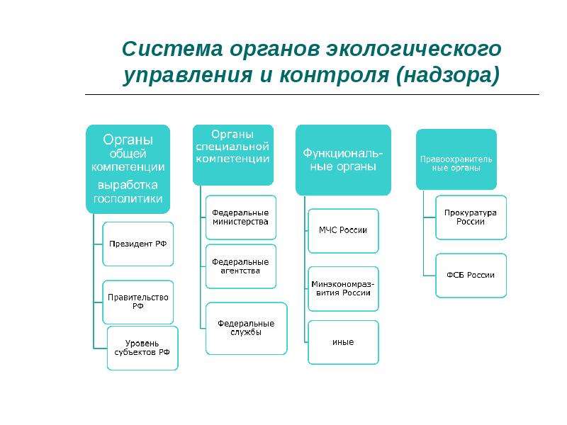 Роль экологического управления. Органы экологического управления. Субъекты экологического управления.