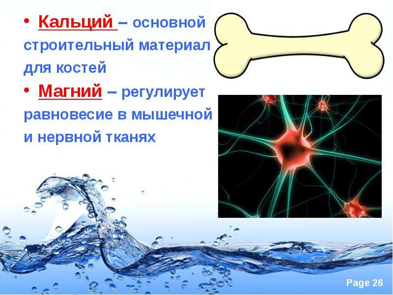 Кальций и вода. Магний и костная ткань. Кальций – основной?. Вода здоровье для кости.