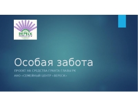 презентация Особая забота рабочая группа
