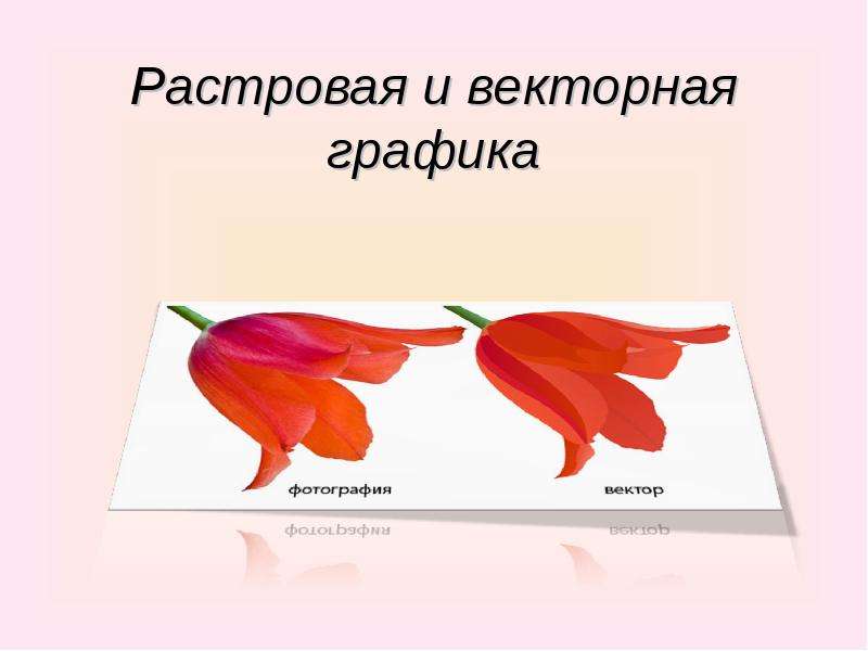 Растровая и векторная графика картинки