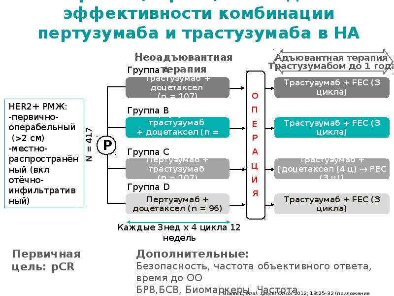 Схема лечения доцетаксел пертузумаб трастузумаб