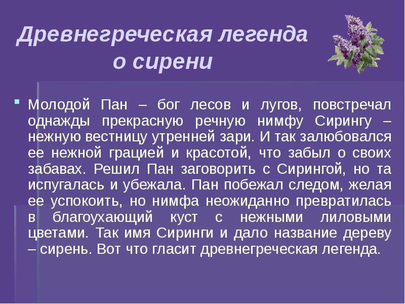 Сочинение п