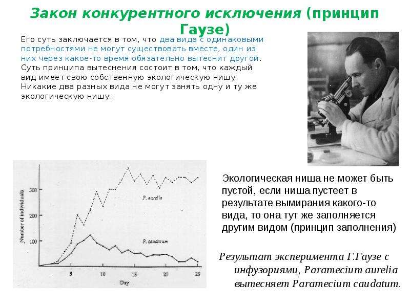 Принцип конкурентного исключения