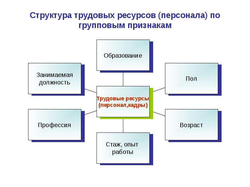 Трудовые ресурсы проекта это