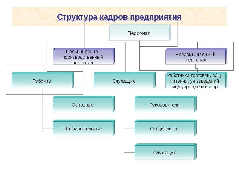 Организация кадров в предприятия. Состав персонала предприятия схема. Схема состава кадров предприятия. Кадры персонал предприятия схема. Схема кадровой структуры предприятия.