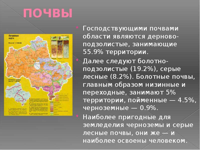 Почвы преобладают. Какие почвы в Челябинской области. Какие почвы в Татарстане преобладают на территории. Преобладающие почвы в Челябинской области. Какие почвы преобладают в Московской области.