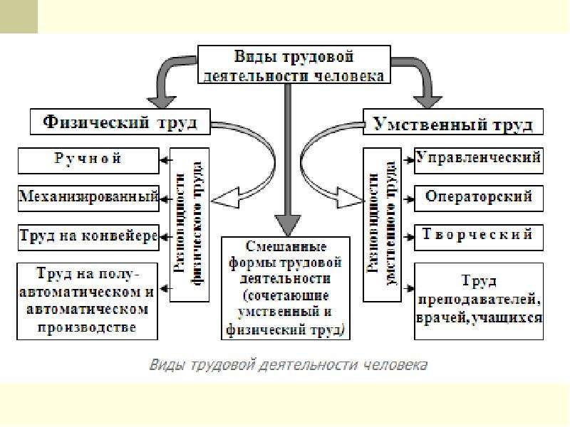 В физиологическом плане труд представляет собой процесс расходования