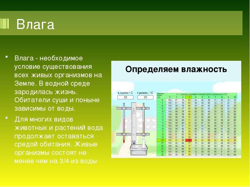 Почва как абиотический фактор презентация