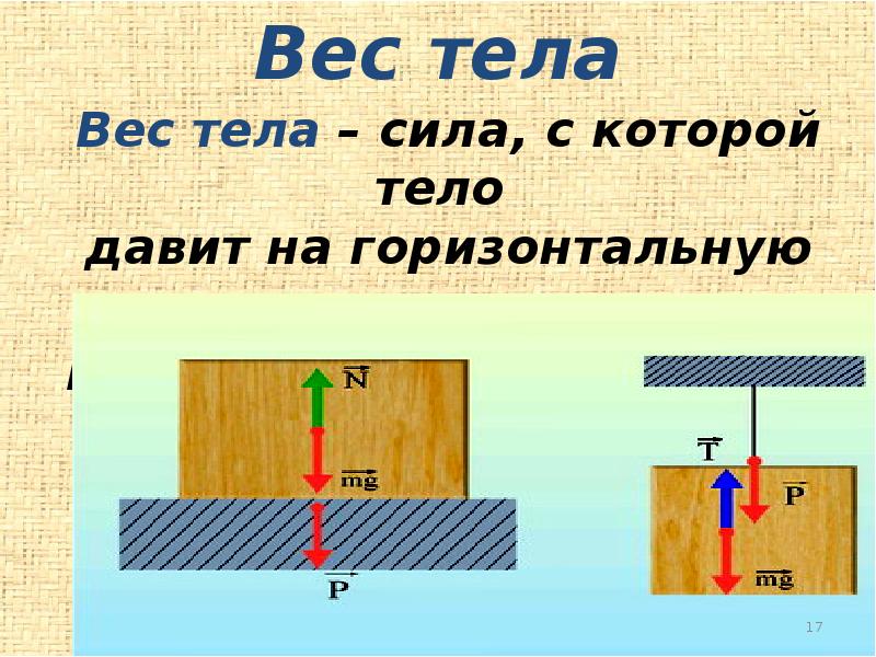 Материальная точка абсолютно твердое тело сила