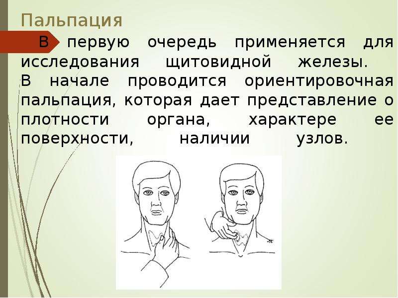 Пальпация желез