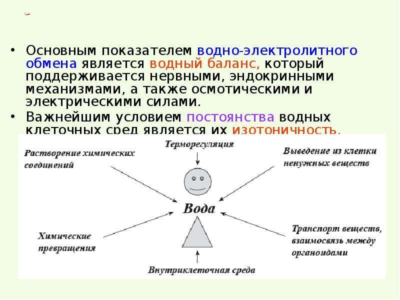 Водно электролитный баланс презентация