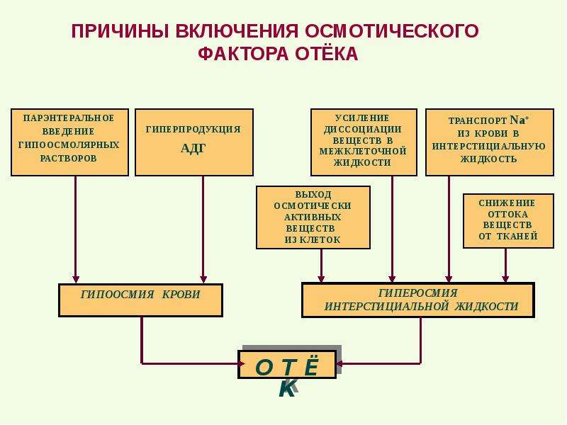 Презентация на тему нарушение водного обмена