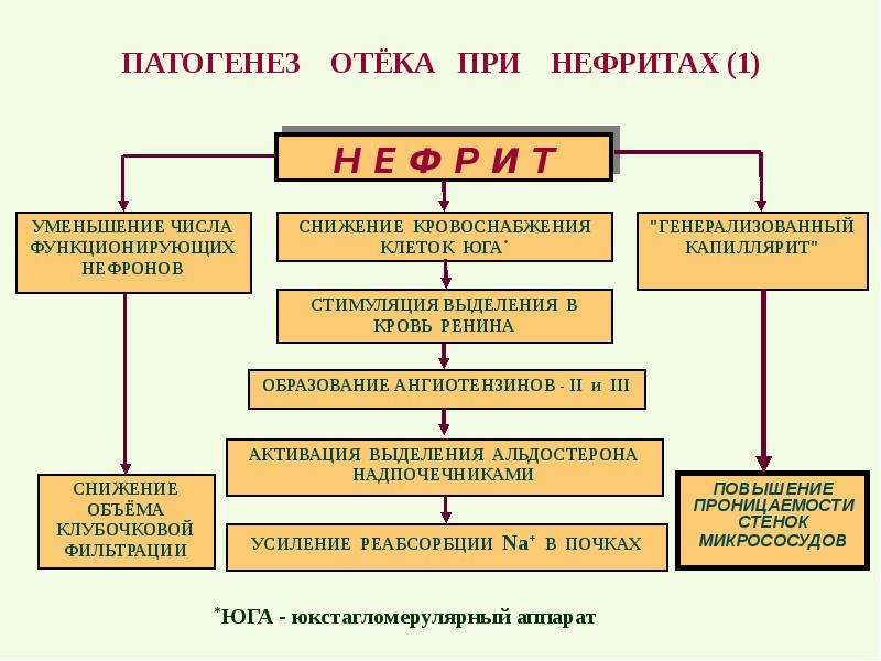 Презентация на тему нарушение водного обмена