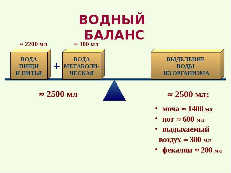 Водный баланс анализ