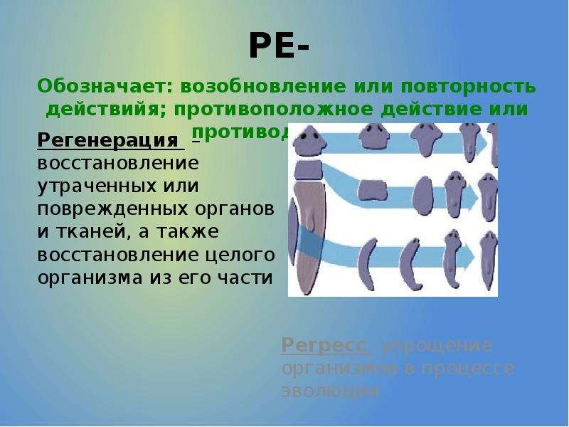 Процесс восстановления утраченных