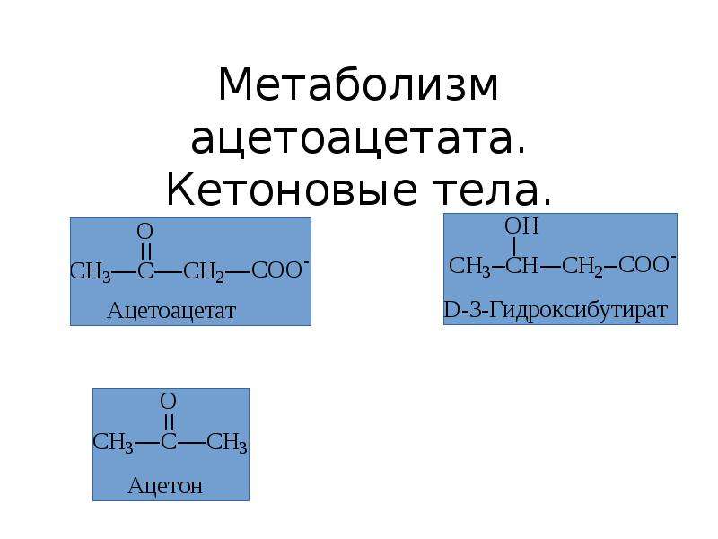 Кетоновые тела презентация