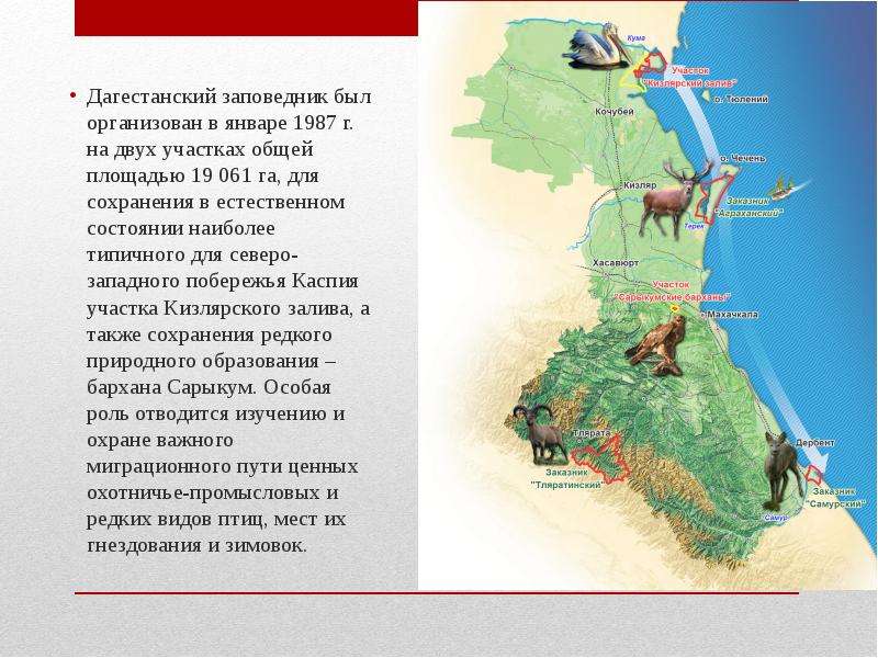 Дагестанский заповедник презентация