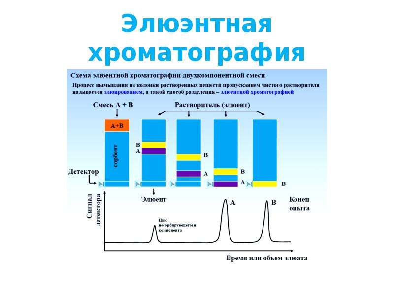 Хроматографический анализ масла