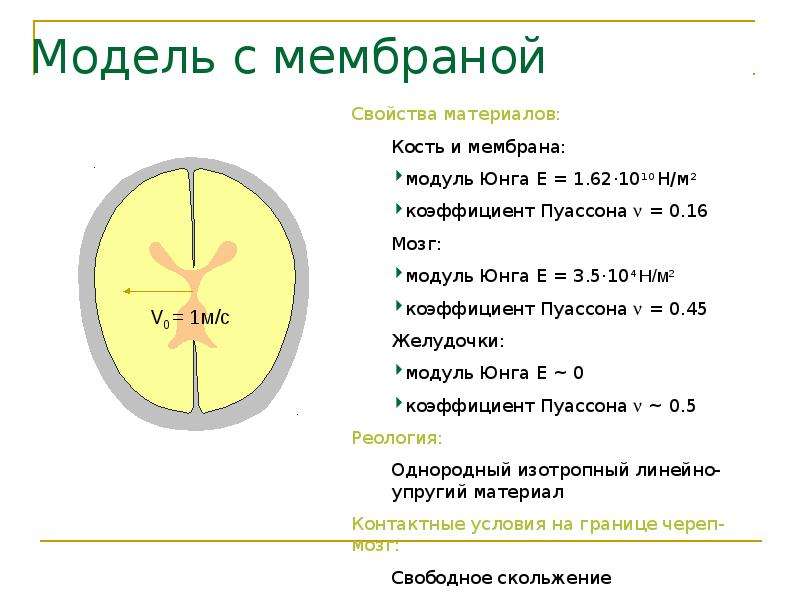 Модель оболочек